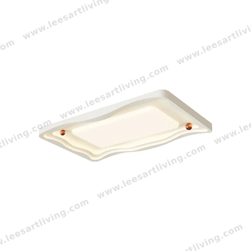 Ceiling Lamps